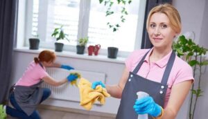 Read more about the article Best cleaners around the world
