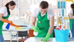 Read more about the article House cleaner support
