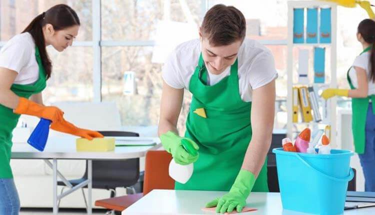 Read more about the article House cleaner support