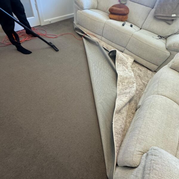 WhatsApp Image 2025-10-16 at 01.09.46 (3)