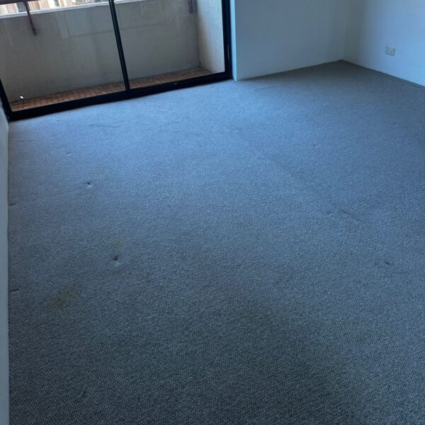 WhatsApp Image 2025-10-16 at 01.13.57 (2)