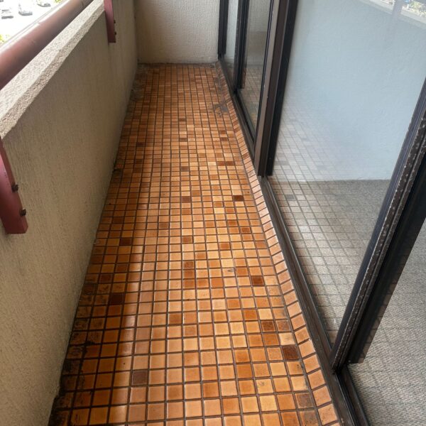 WhatsApp Image 2025-10-16 at 01.14.00 (2)