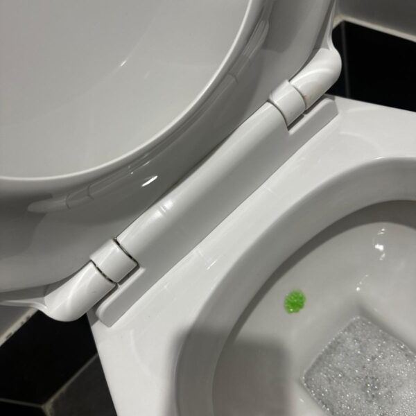 WhatsApp Image 2025-10-16 at 01.15.39 (13)