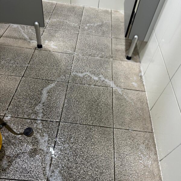 WhatsApp Image 2025-10-16 at 01.42.59 (10)