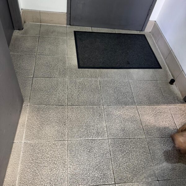 WhatsApp Image 2025-10-16 at 01.42.59 (3)