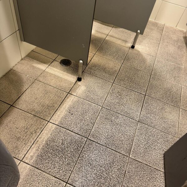 WhatsApp Image 2025-10-16 at 01.42.59 (4)