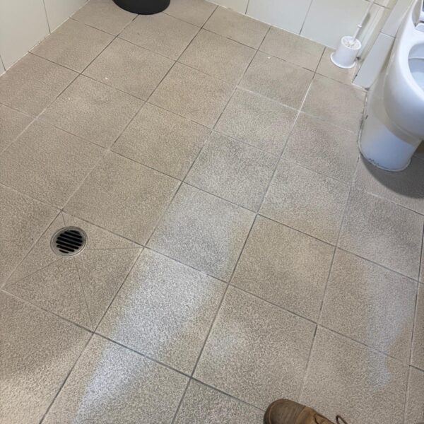 WhatsApp Image 2025-10-16 at 01.42.59 (5)