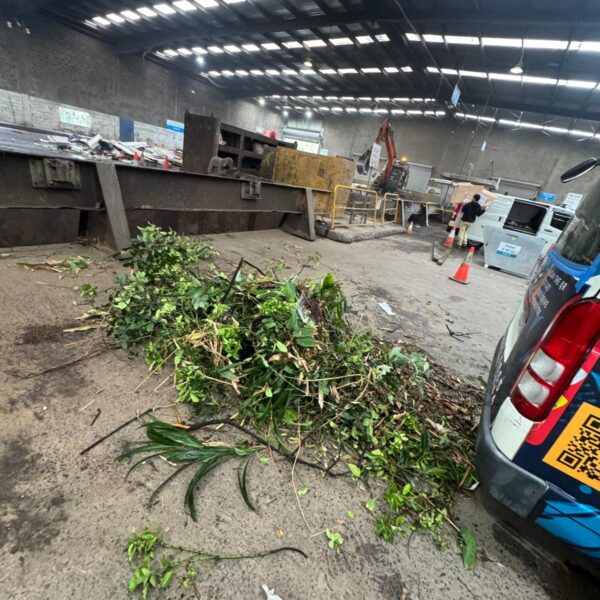 WhatsApp Image 2025-10-16 at 01.47.54