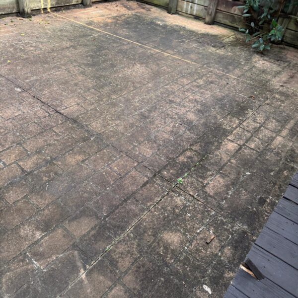 WhatsApp Image 2025-10-16 at 01.58.36 (3)