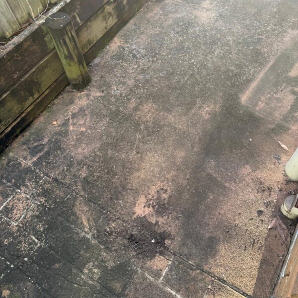 WhatsApp Image 2025-10-16 at 01.58.36 (4)