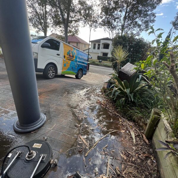 WhatsApp Image 2025-10-16 at 01.58.45 (1)