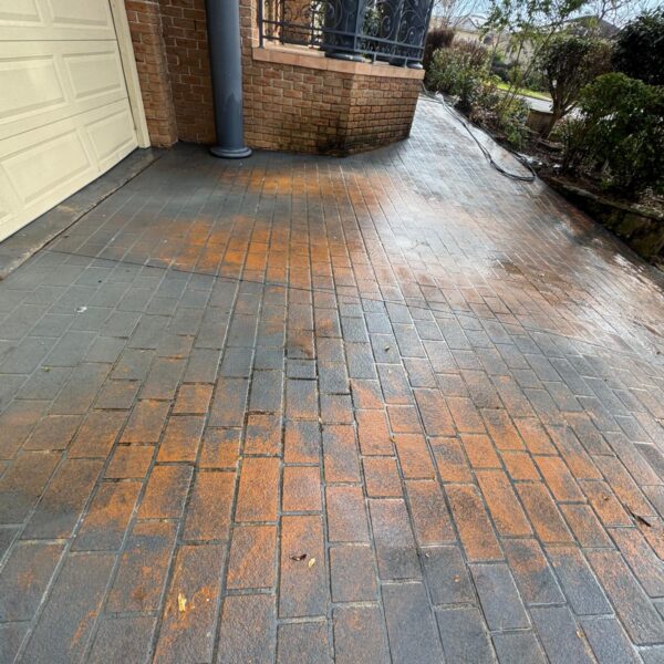 WhatsApp Image 2025-10-16 at 01.58.45 (11)