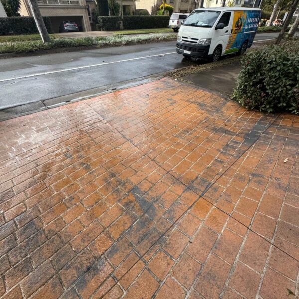 WhatsApp Image 2025-10-16 at 01.58.45 (13)