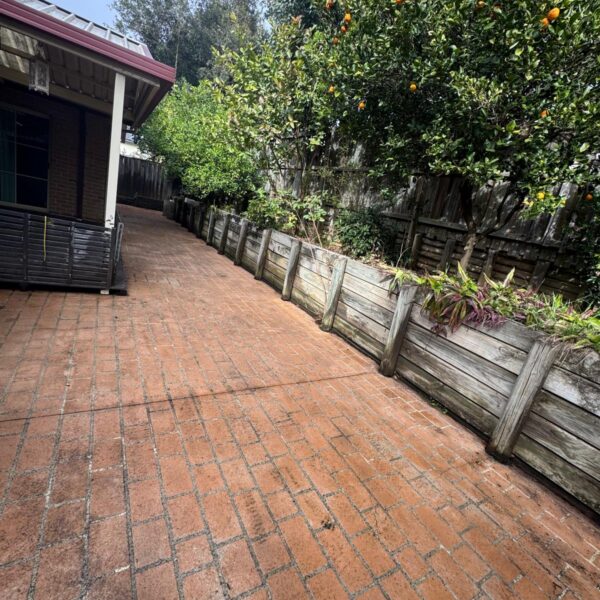 WhatsApp Image 2025-10-16 at 01.58.45 (3)