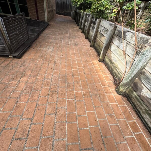 WhatsApp Image 2025-10-16 at 01.58.45 (4)