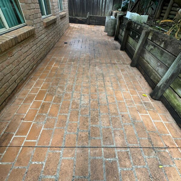 WhatsApp Image 2025-10-16 at 01.58.45 (6)