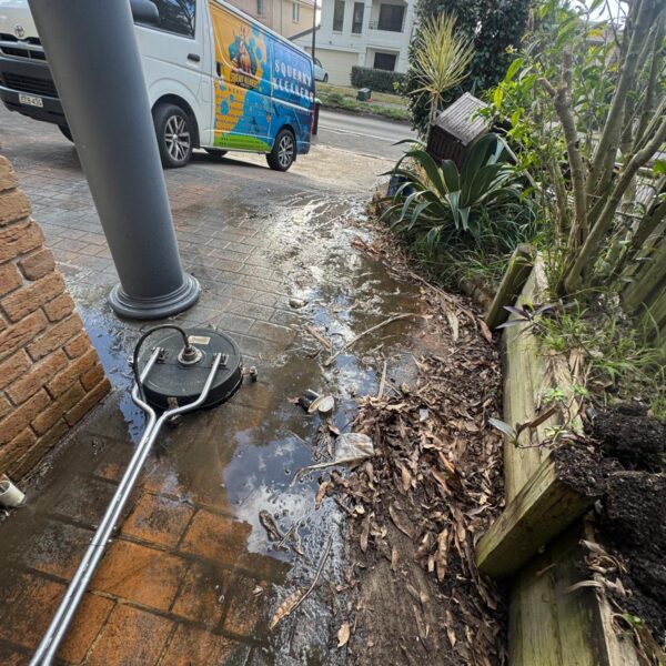 WhatsApp Image 2025-10-16 at 01.58.45