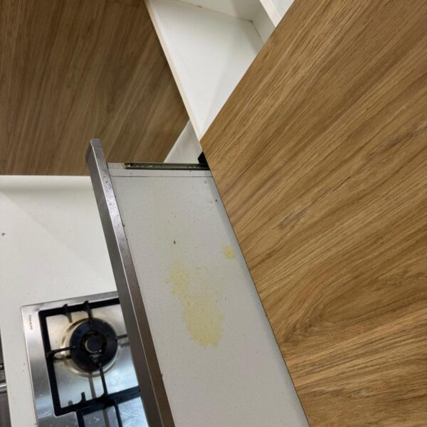 WhatsApp Image 2025-10-16 at 02.07.26