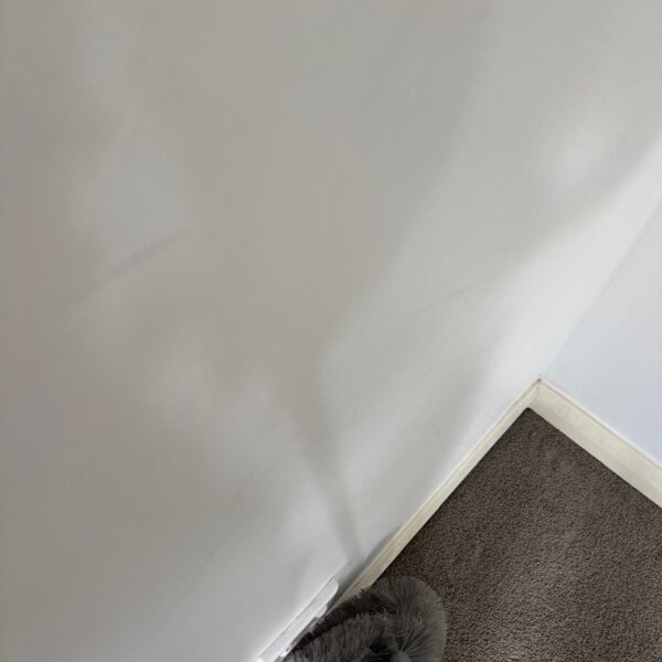 WhatsApp Image 2025-10-16 at 02.07.27 (1)