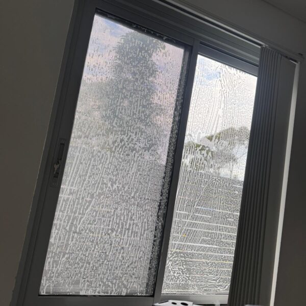 WhatsApp Image 2025-10-16 at 02.07.27 (6)