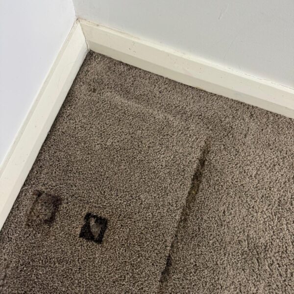 WhatsApp Image 2025-10-16 at 02.07.29